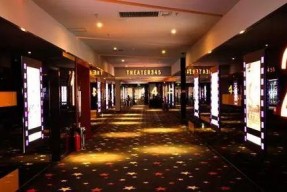 四虎影院国产,国产影视的崛起与繁荣