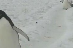 情侣小视频国产区,国产情侣小视频甜蜜瞬间大盘点